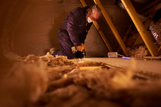 Best Insulation Installation Services in Aho Falls, ID